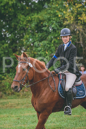 DSC_8260 copy