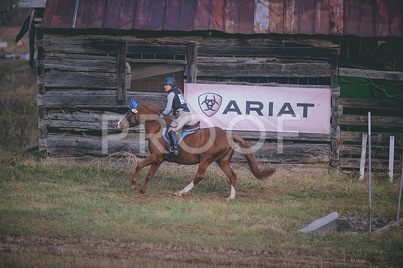 000_0786
