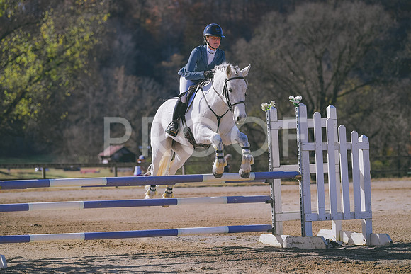 MEI_1463