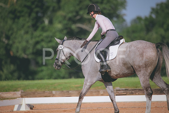 RWP_4587