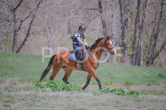 _DSC9166