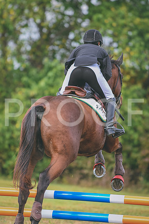 DSC_0501 copy