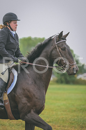 DSC_0121 copy