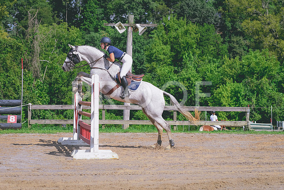 DSC_0773