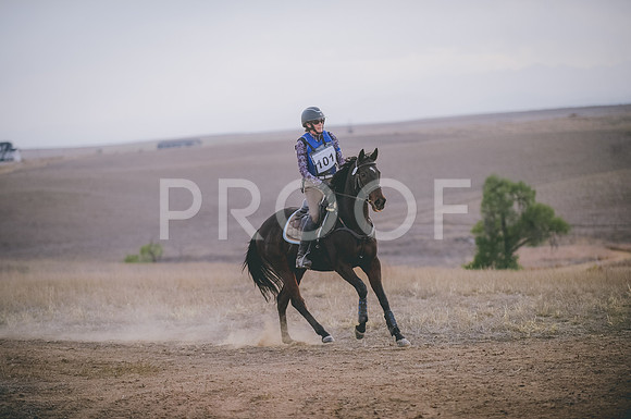 JJS_6383