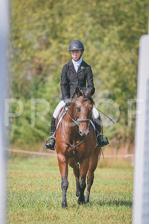 DSC_2262