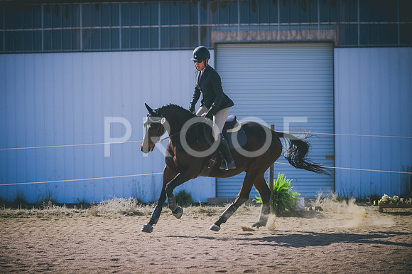 JJS_2712