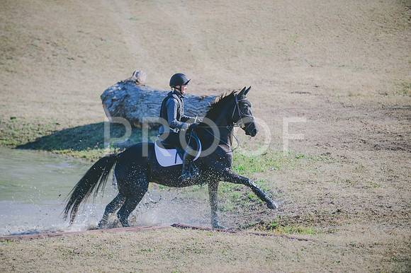 JJS_3296