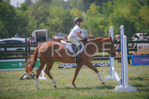 JJS_0131