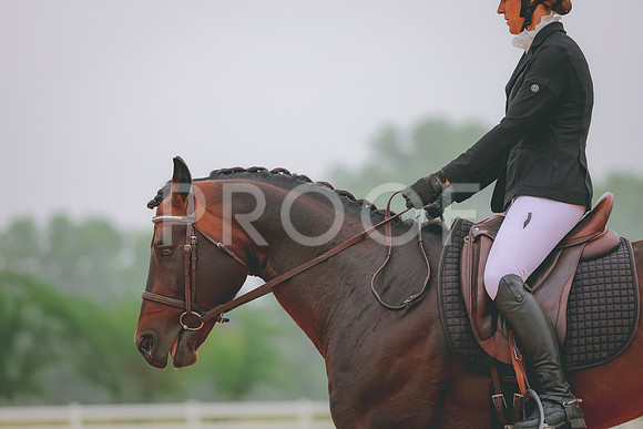 JC5_0737