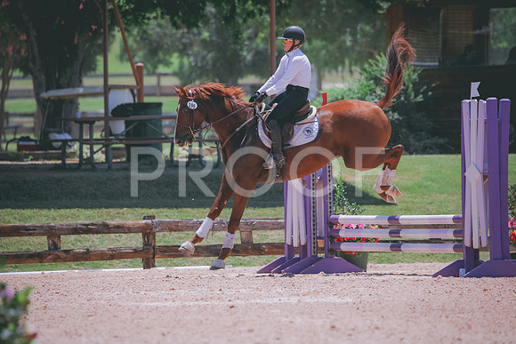 RWP_5778