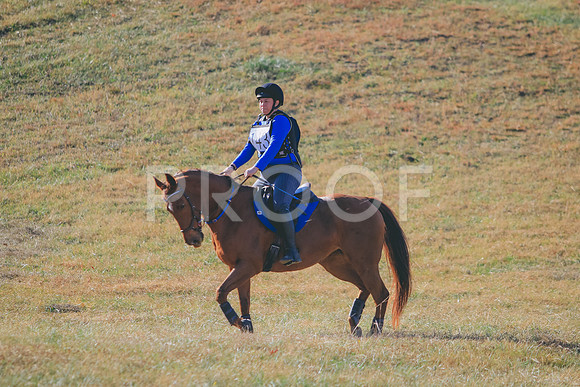 CANON_Canon EOS 7D Mark II_109668864-1097078538663
