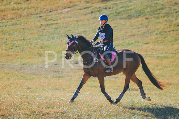 CANON_Canon EOS 7D Mark II_112962560-1130015498887