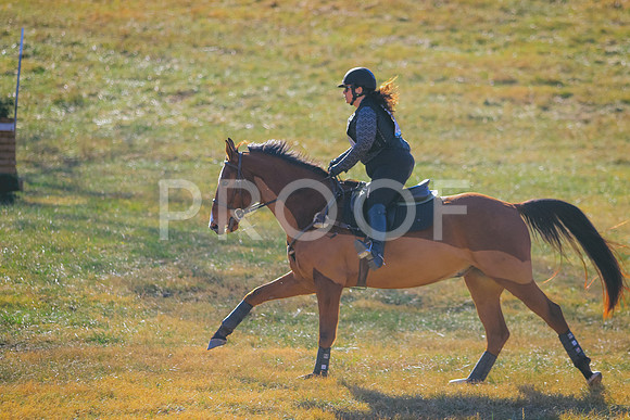 CANON_Canon EOS 7D Mark II_116555008-1166574099115