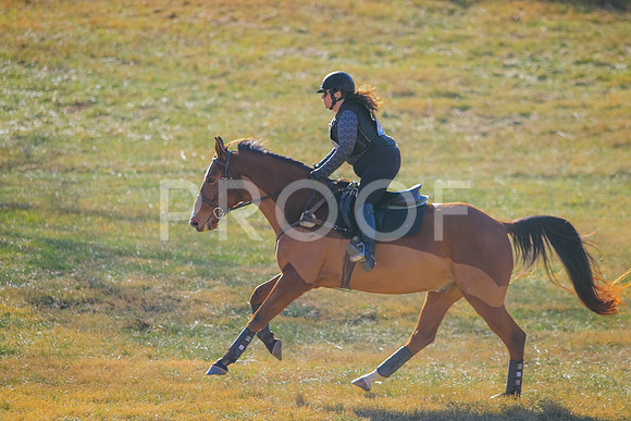CANON_Canon EOS 7D Mark II_116542464-1166448659114