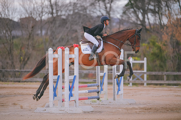 MEI_3358