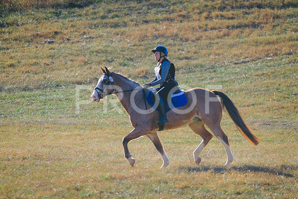 CANON_Canon EOS 7D Mark II_121549312-1215883019458