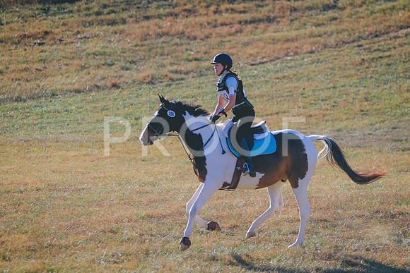 CANON_Canon EOS 7D Mark II_122159360-1221983499498