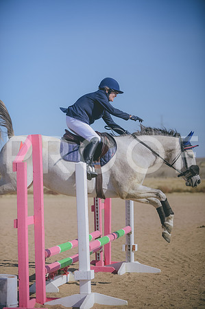 JJS_3895