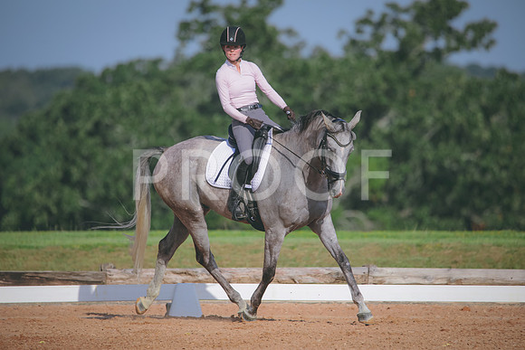 RWP_4571
