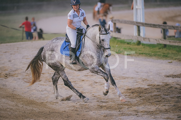 JJS_1819