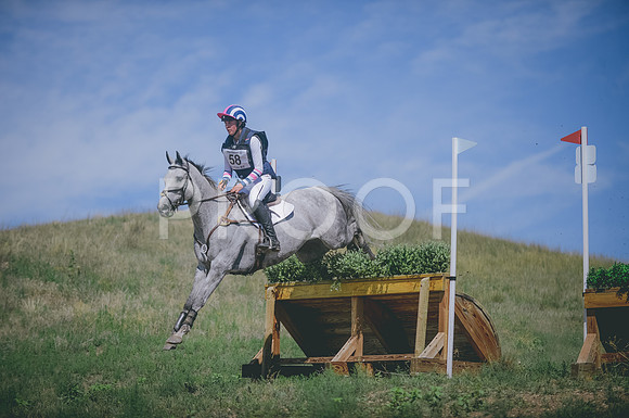 JJS_8662