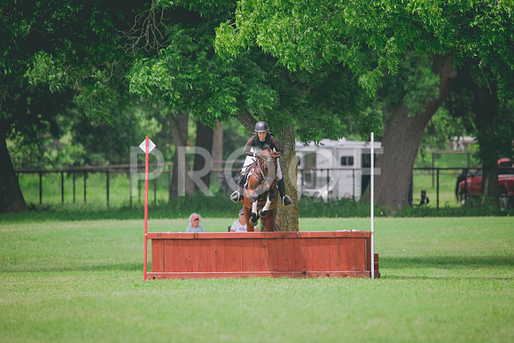 RWP_2036