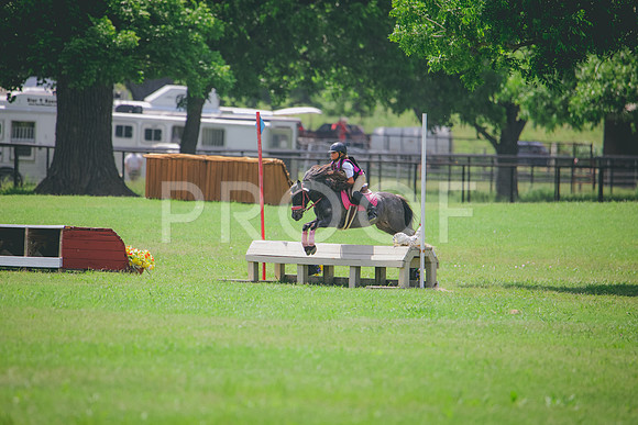 RWP_4310