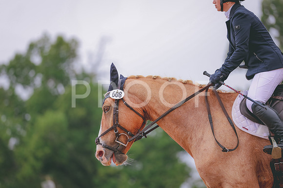 JC5_0654A
