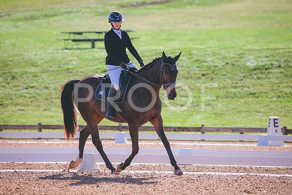 RWP_9299
