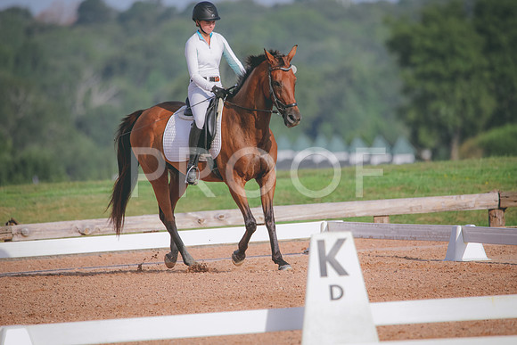 RWP_4468