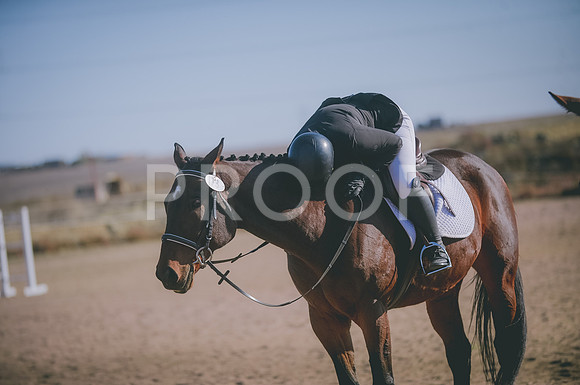 JJS_1594