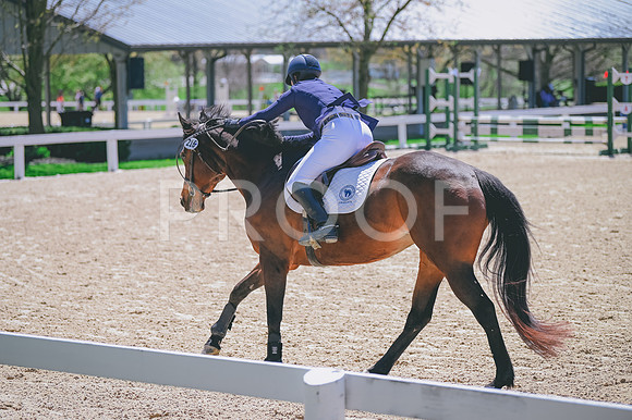 CRB_9051