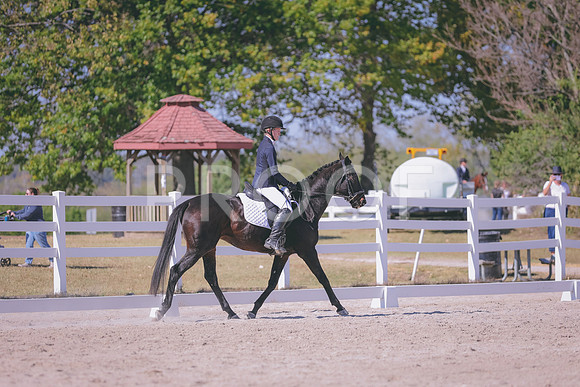 HLJ_4246