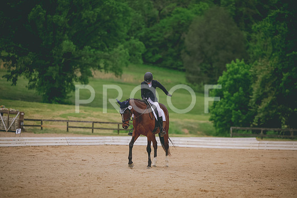 2E8A1534