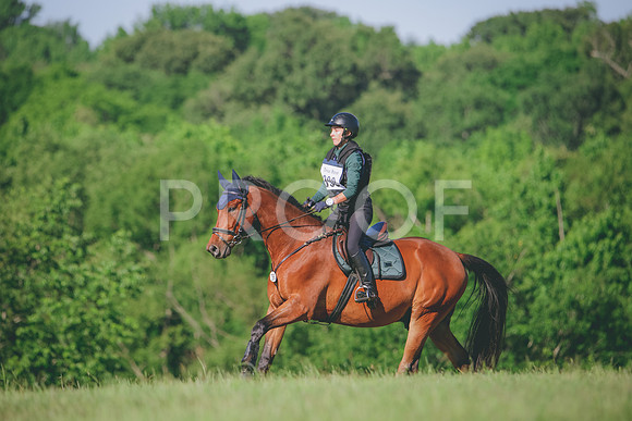 RWP_2512
