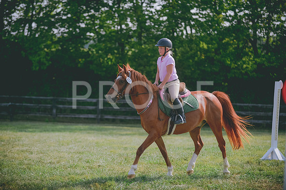 JJS_4137