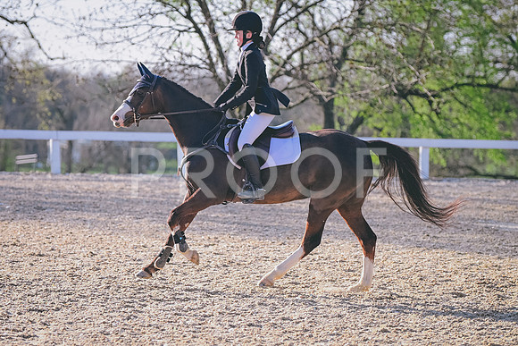 CRB_5878