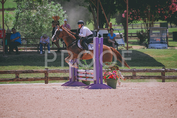 RWP_5599
