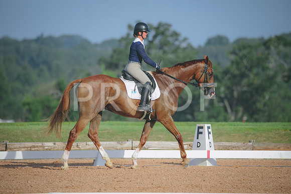 RWP_4430