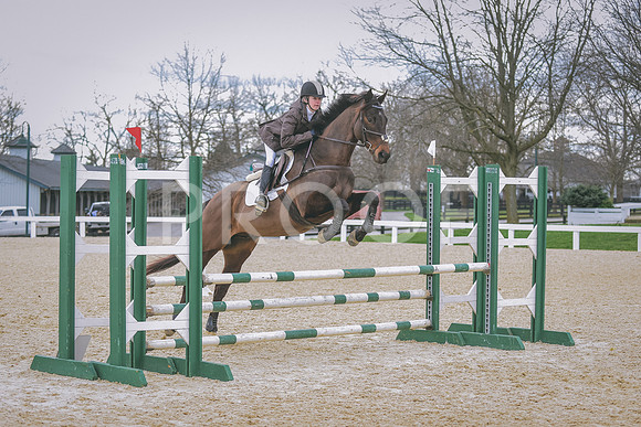 DSC_0391 copy