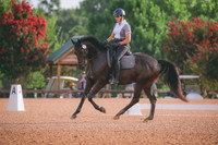 RWP_4173