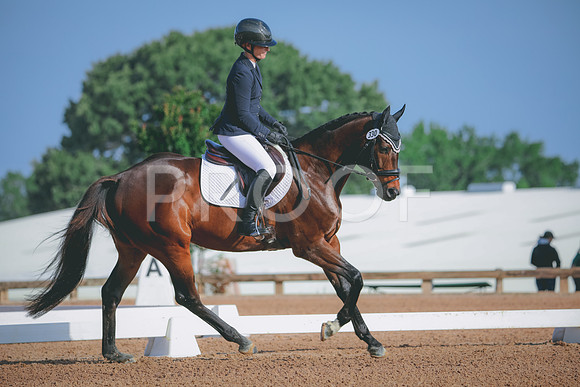 RWP_3837