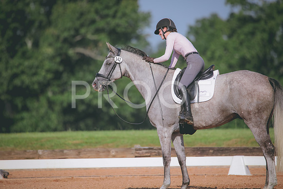 RWP_4584