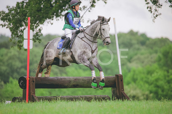RWP_5341