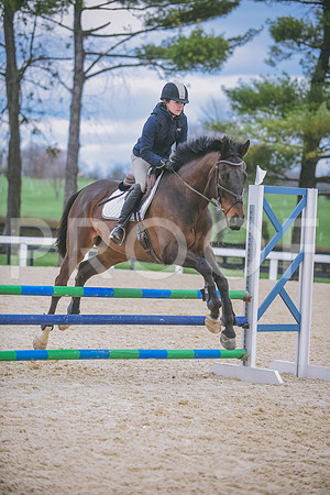 DSC_0335 copy