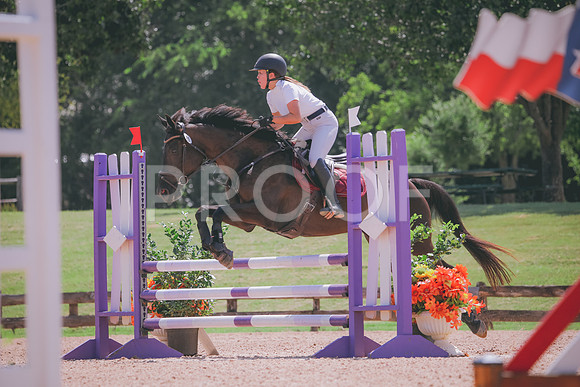 RWP_5294
