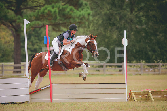RWP_3851