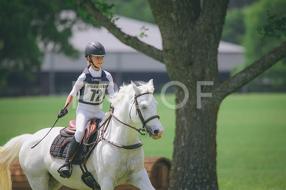 RWP_4164