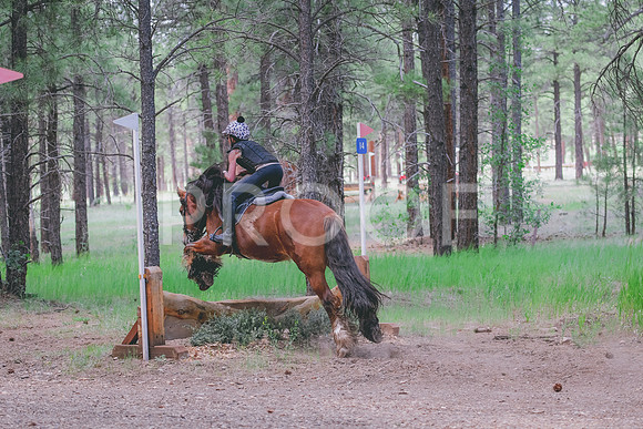 DSC_7342